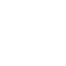 Phone and social media icon