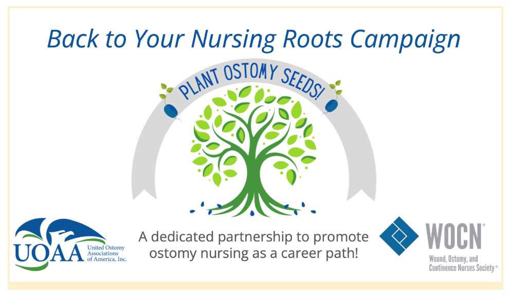 Screen Shot 2025-06-04 at 3.44.29 PM