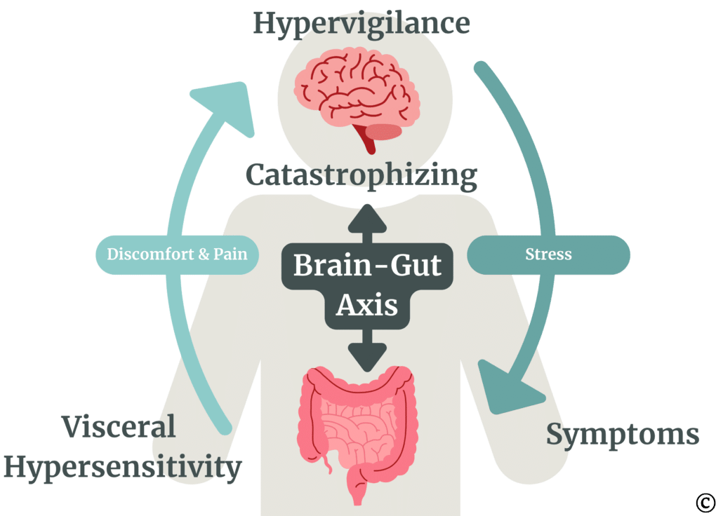 Gut axis infographic by GI Psychology